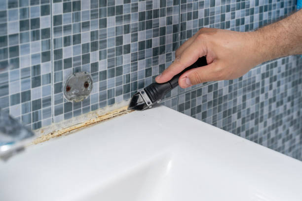 Best Certified Mold Removal  in Brownfield, TX